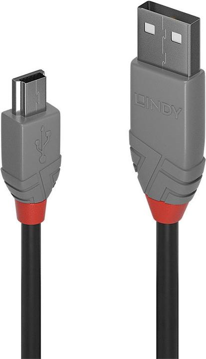 Productafbeelding Lindy Anthra Lijn (0.20 m, USB 2.0)