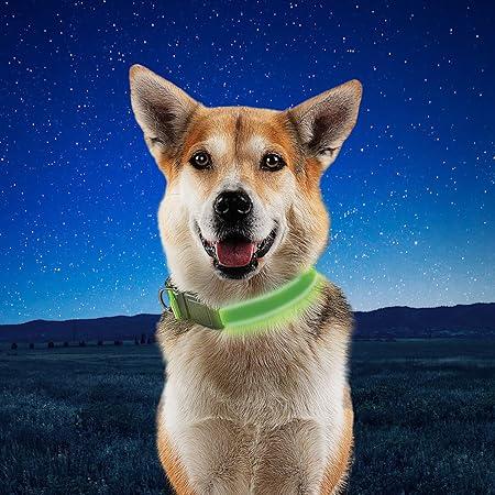 Actual product image Nite Ize NiteDog™ Rechargeable LED Collar L (23, 24, Dog)