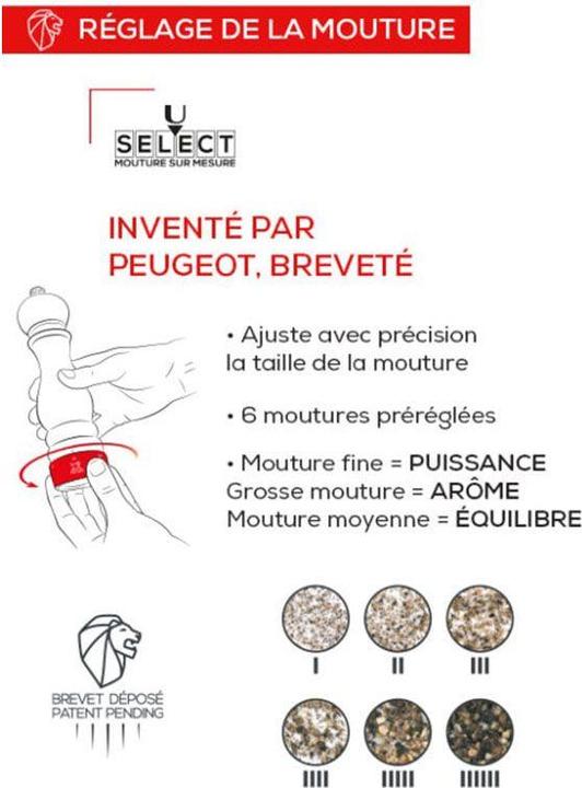 Image du produit Peugeot Paris (Sel)