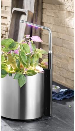 Produktbild WMF LED Pflanzenlampe LED Grow Lampe wachstumsförderndes Pflanzenlicht Ambient (LED)