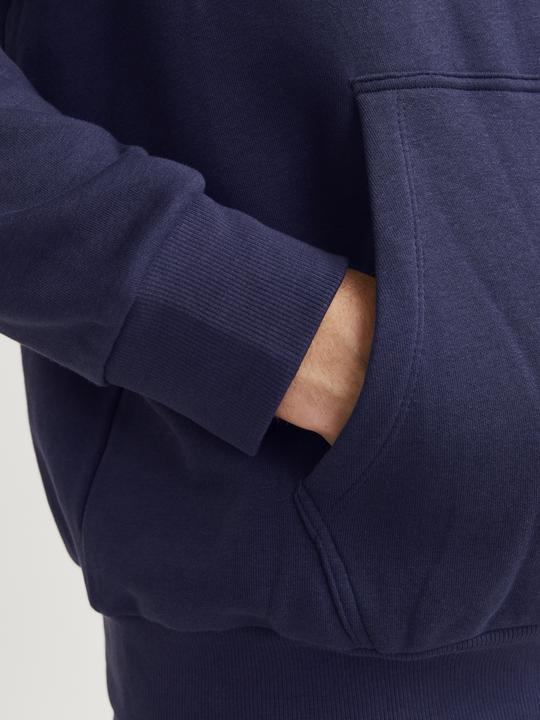 Actual product image Jack & Jones Jjecaleb Varsity Sweat Hood Noos Pls (5XL)