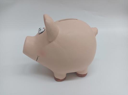 Produktbild Roost Sparkasse Schwein (18.5 x 14.5 x 15.5 cm)