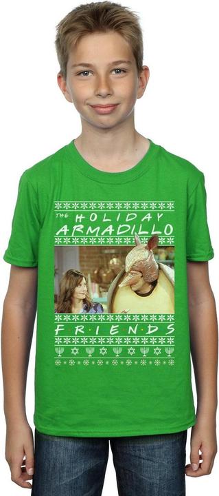Actual product image Friends Boys Fair Isle Holiday Armadillo T-Shirt (152, 158)