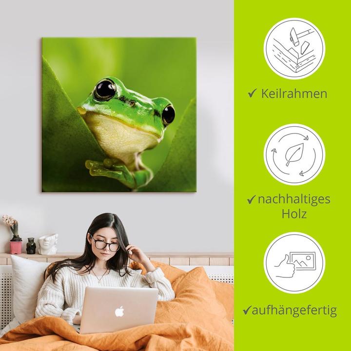 Actual product image Artland Canvas picture on stretcher Scouting frog T5VH 50x50 cm (40x40 cm)