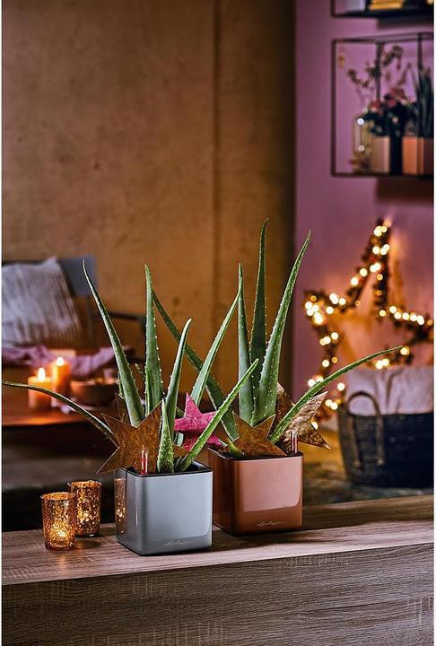 Image du produit Lechuza Pot de plante CUBE Titane brillant (14 cm)