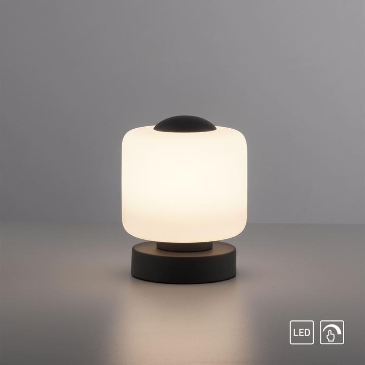 Produktbild Paul Neuhaus Bota (580 lm)