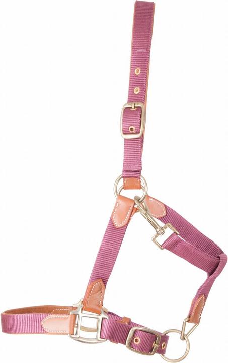 Immagine prodotto TdeT Cavezza per cavalli in pelle con cinturino