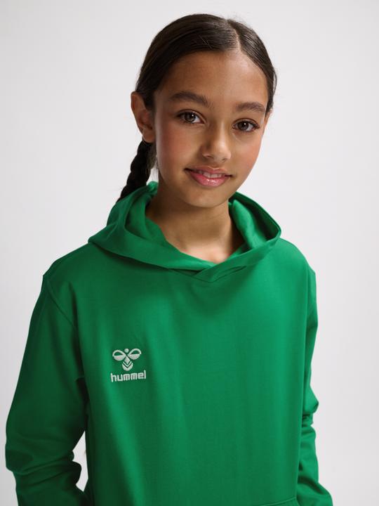 Actual product image hummel HMLGO 2.0 HOODIE KIDS (116)