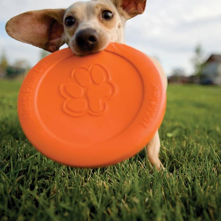 Actual product image West Paw Frisbee (Litter toy dog)