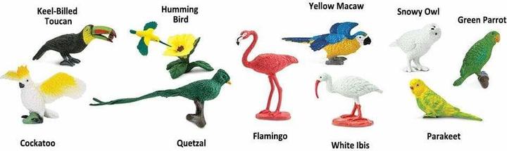 Image du produit Safari Toob Oiseaux exotiques
