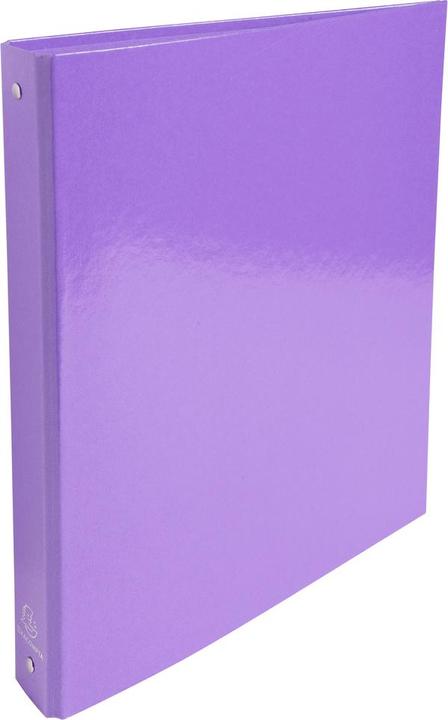Actual product image Exacompta Ring binders (A4, 40 mm, 1 Piece)