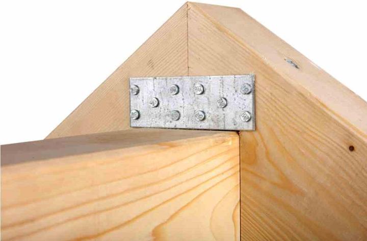 Immagine prodotto Alberts Piastra forata 200 x 60 mm, zincata sendzimir, 1 pz. (Lamiera forata, 1 pz.)