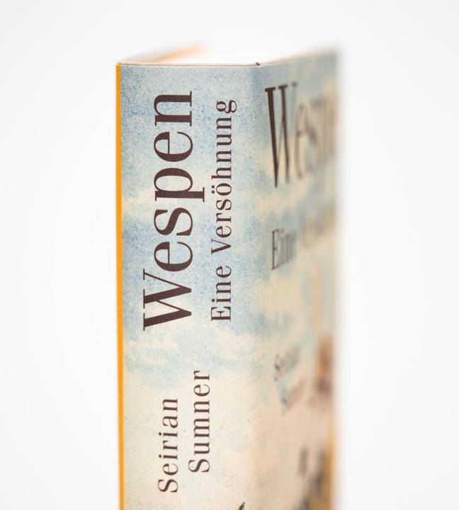 Image du produit Wespen – Eine Versöhnung (Allemand, Andrea Schmittmann, Seirian Sumner, 2023)