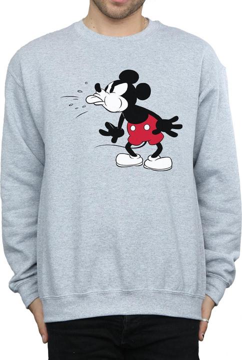 Produktbild Disney Pullover (S)