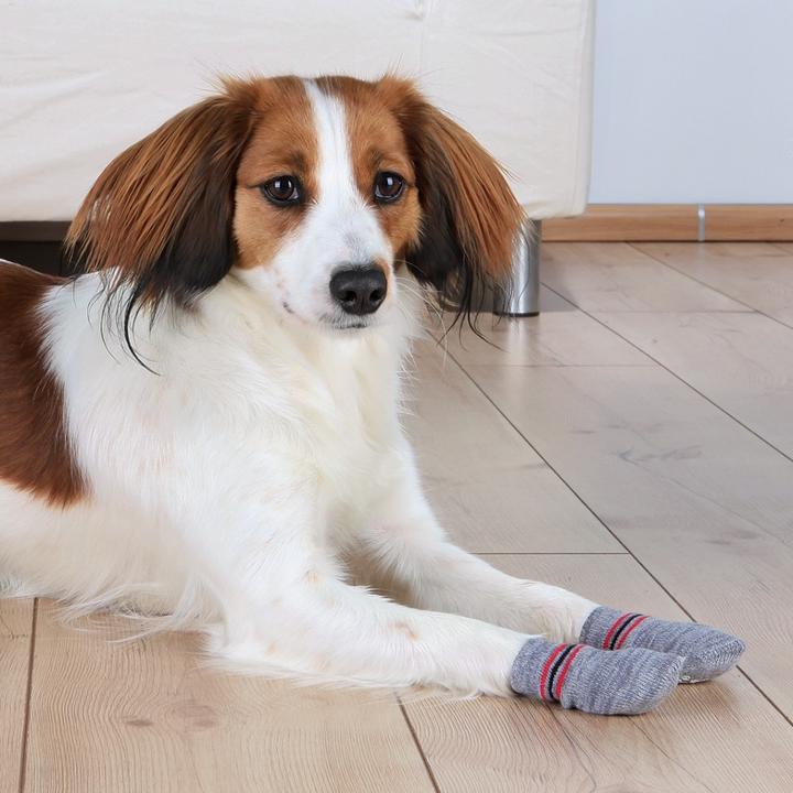 Immagine prodotto Trixie Calzini per cani (L, XL, Calzini per cani)