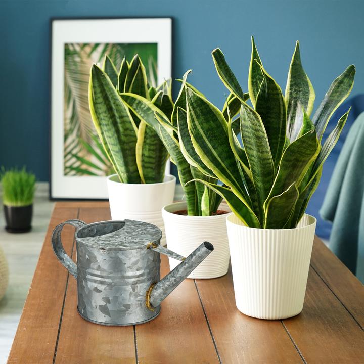 Actual product image Relaxdays Giesskanne (1.30 l)