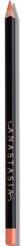 Actual product image Anastasia Beverly Hills Lip Liner (Sunbaked)