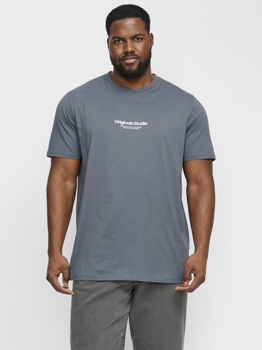 Immagine prodotto Jack & Jones Jorvesterbro Tee Ss Crew Neck Noos Pls (XXL)