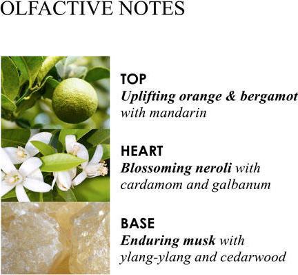 Produktbild Molton Brown Orange Bergamot (Flüssigseife, 300 ml)