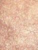 Image du produit MAC Cosmetics Mineralize Skinfinish (Lueur mondiale)