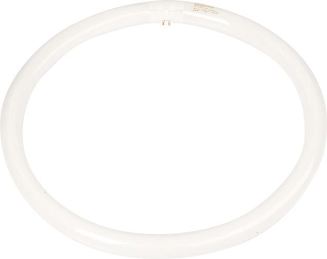 Produktbild Philips Leuchtstofflampe TL-E (G10q, 40 W, 3200 lm, 12 x, G)