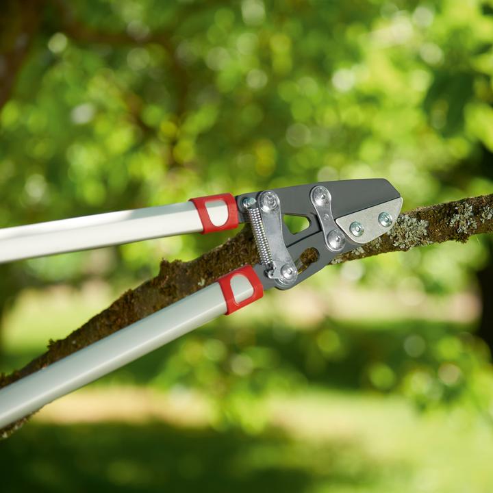 Actual product image Wolf-Garten Branch shears