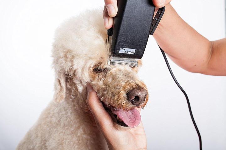 Immagine prodotto Moser Tagliacapelli per cani 1230 REX (Cane, Gatto)