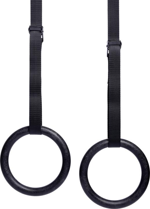 Actual product image Sport-Thieme Outdoor gym rings cross training