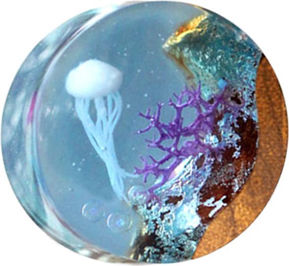 Star Piercing Flared Plug Quallen Riff Epoxy blau aus Teakholz (ohne Messing, Organisch)