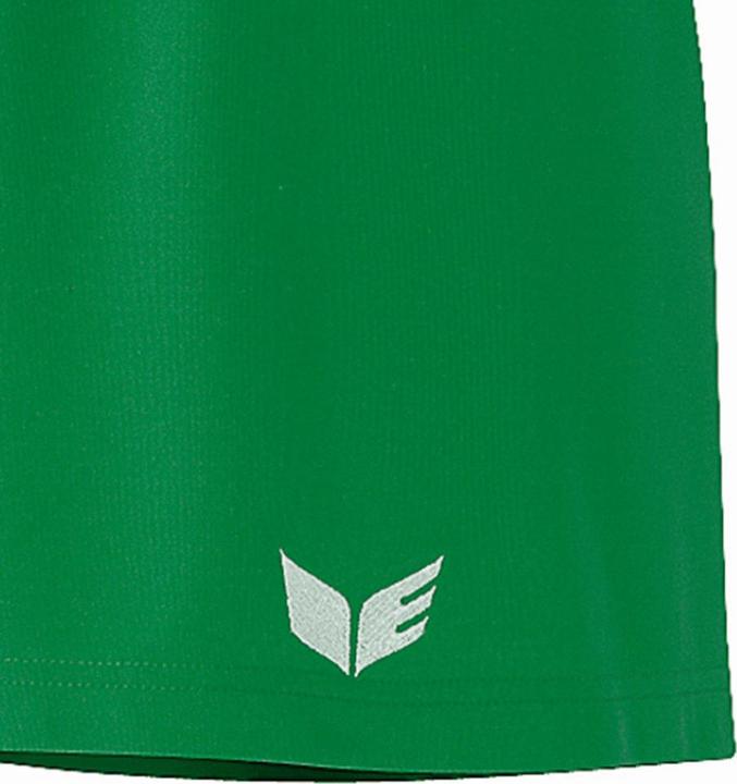 Actual product image Erima CELTA Short (11)
