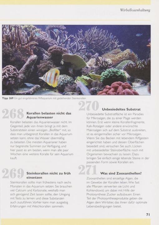 Produktbild 500 Tipps und Tricks zur Meerwasseraquaristik (Deutsch, Dave Garratt, Tristan Lougher, Tim Hayes, Dick Mills, 2007)
