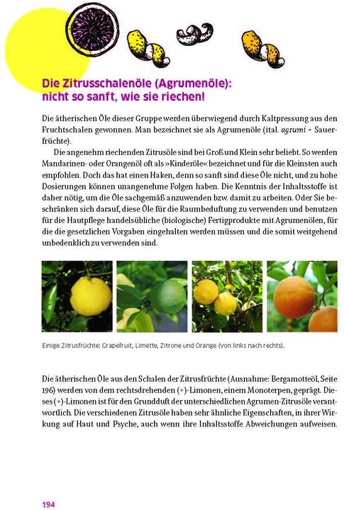 Actual product image Das grosse Buch für die gesunde Haut (German, Ruth of Brunswick, Ingeborg Stadelmann, Natalie Stadelmann, 2022)