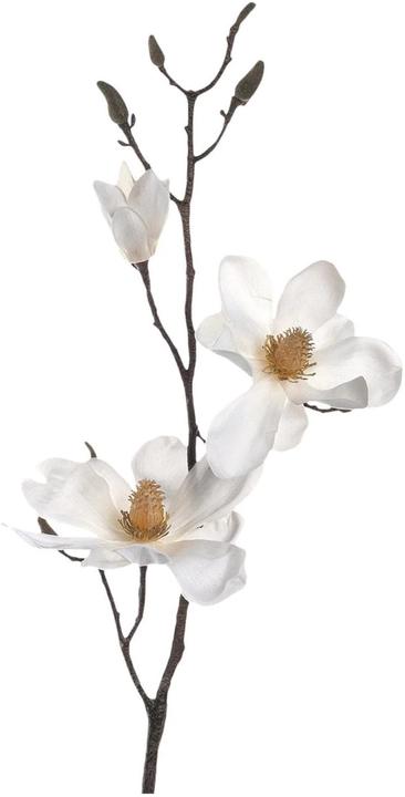 Image du produit Leonardo Fleur artificielle branche de magnolia Vernazza 40 cm, 12 pièces (40 cm)