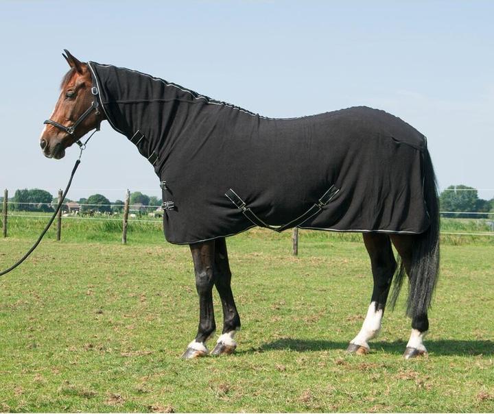 Harry's Horse Deluxe