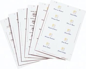 Actual product image Durable Badgemaker insert labels for name tags