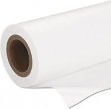 Immagine prodotto Epson S042075 Carta fotografica semilucida inkjet 160g/m2 419mm x 30,5m 1 rotolo 1-pack (170 g/m², 40,6 cm x 30,5 m, 1 x)