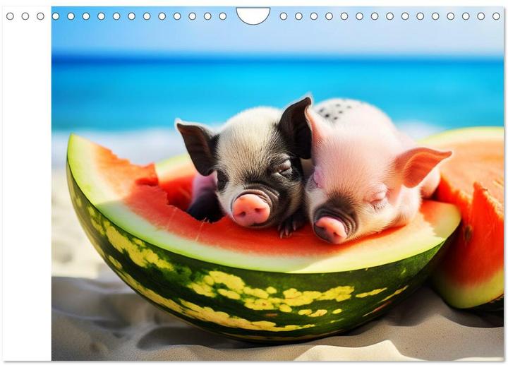 Produktbild Schweinereien in der Karibik. Sonne und Spa mit schwimmenden Schweinen (Wandkalender 2025 DIN A (A4, Kein Einband, Deutsch)