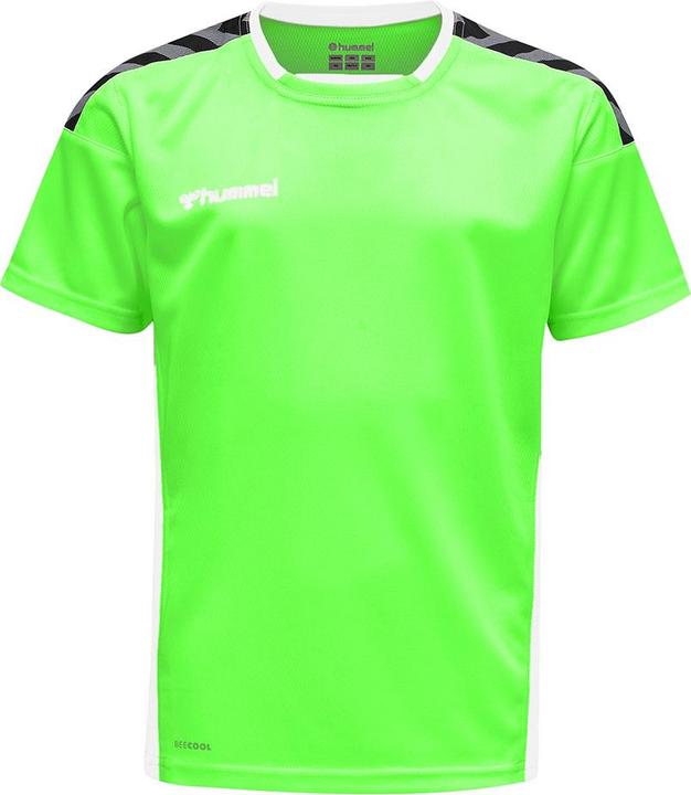 Image du produit hummel Authentic Kids Poly Jersey S/S (164)
