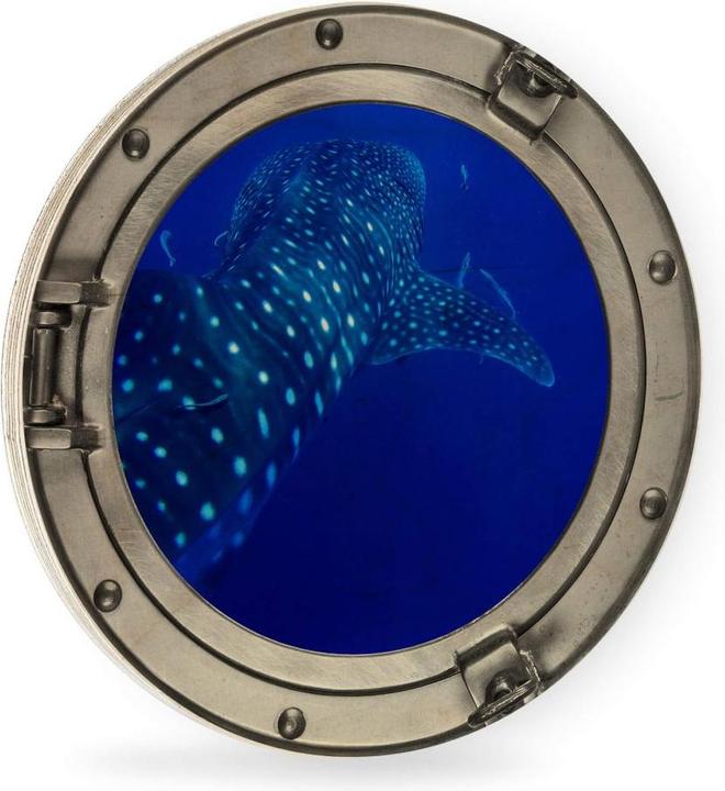 Actual product image Trenddeko 3D optics porthole - The whale shark (Ø 45 cm)