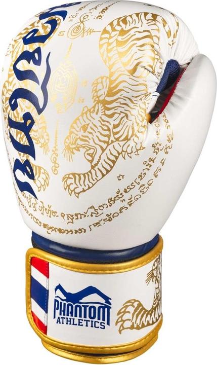 Immagine prodotto Phantom Athletics Athletics Muay Thai Boxhandschuhe 14oz (14 OZ, Taglia unica)