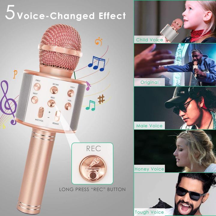 Actual product image Esmée Karaoke microphone with Bluetooth, AUX & speaker - Black (iOS/Android)