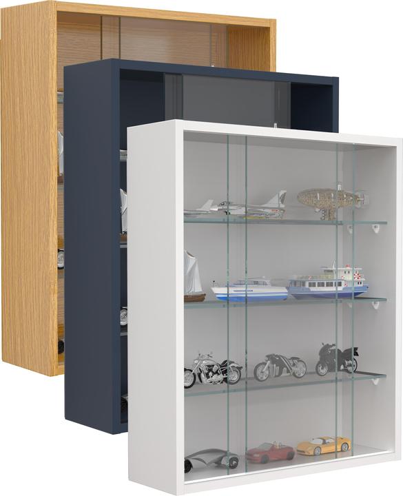 Image du produit VCM Hängevitrine Wandvitrine Glas Drivalo M (60 x 50 x 15 cm)
