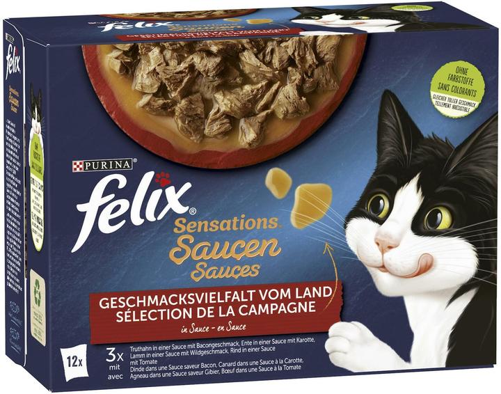 Actual product image Felix Sensation Sauces (Adult, 1 pcs., 1160 g)