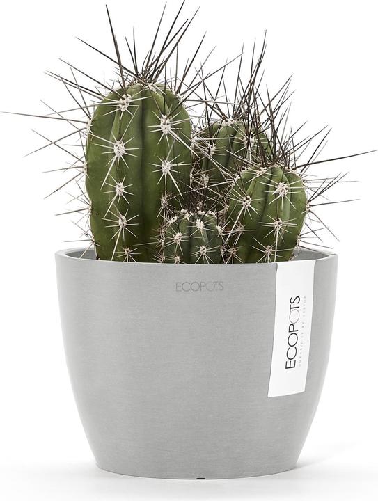 Actual product image Ecopots Stockholm (16 cm)