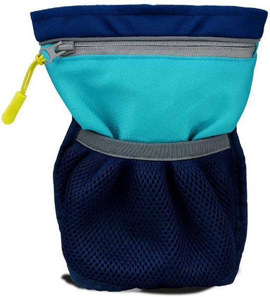 Actual product image Company of Animals Coachi Pro Train & Treat snack bag