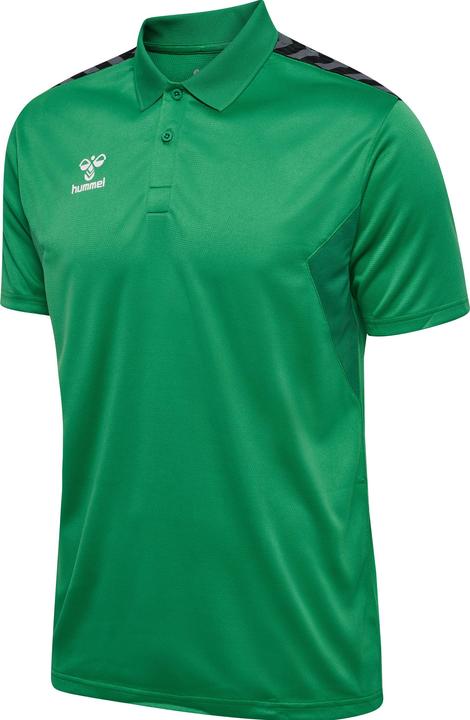 Image du produit hummel Hmlauthentic Functional Polo (XL)