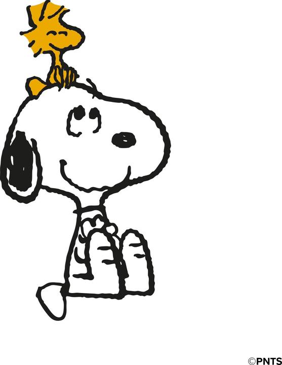 Actual product image SBS case&me Peanuts cover cam logo iPhone 14 design4 Snoopy All Smiles Classic (Apple iPhone 14)