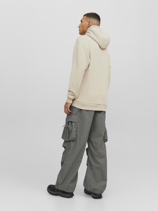 Image du produit Jack & Jones Sweat à capuche (L)