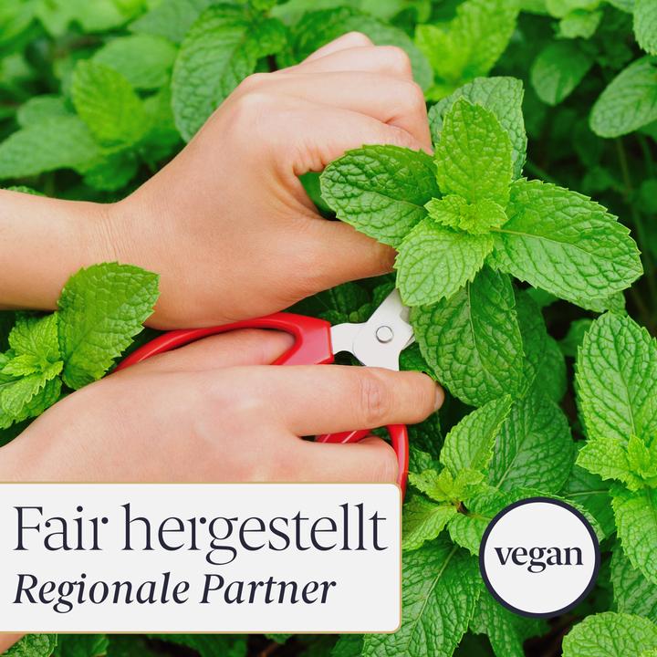 Produktbild Liebenstein Bio Mentholkristalle