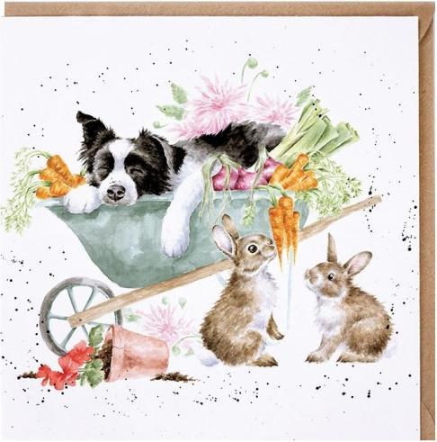 Image du produit Wrendale Design Karte - Collie SLEEPING ON THE JOB Wrendale Designs (1 pcs)